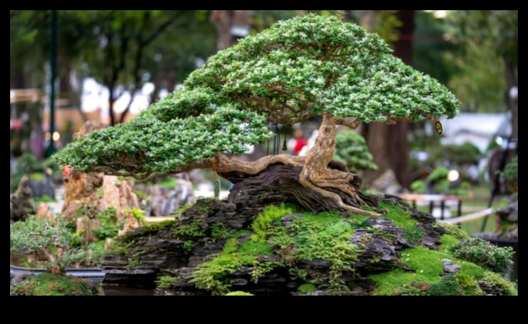 Bonsai Bliss: Japon Bahçelerinde Minyatür Dünyalar