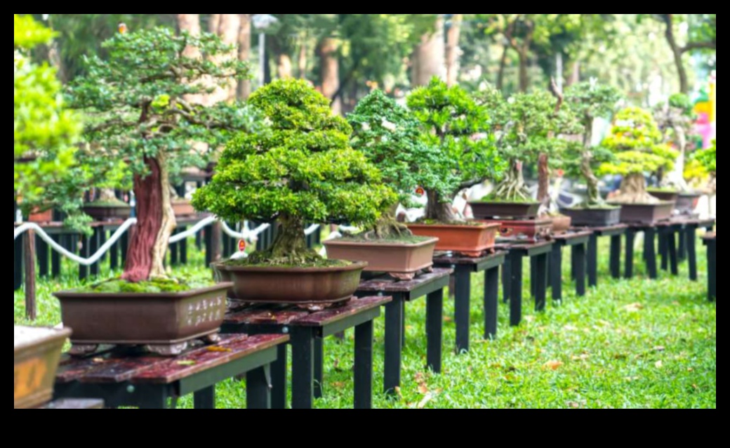 Bonsai Bliss: Japon Bahçelerinde Minyatür Dünyalar