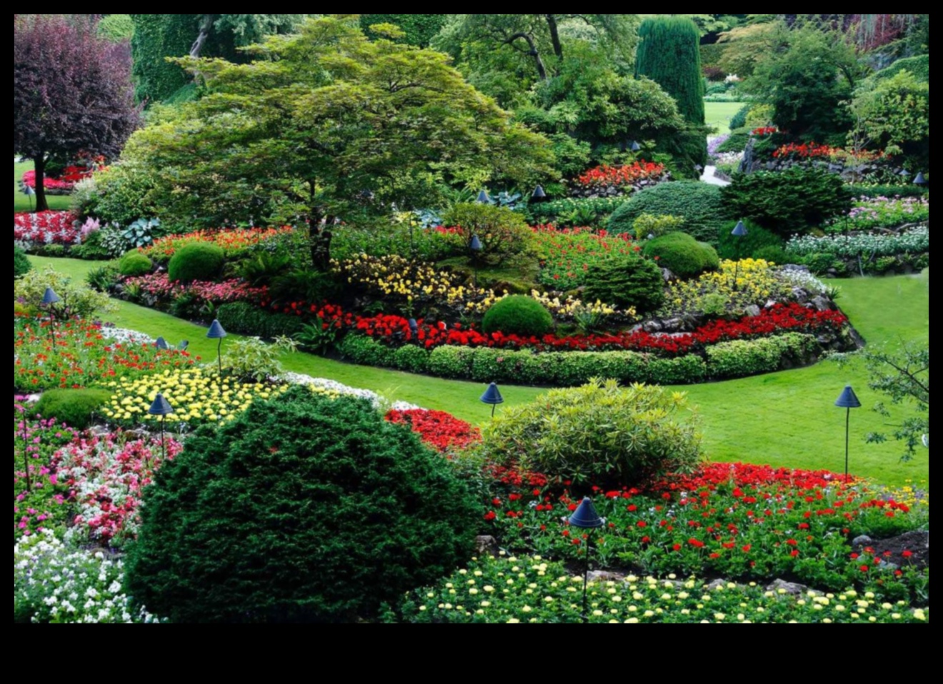 Floral Flourish: Bahçecilik Sanatının Kutlanması