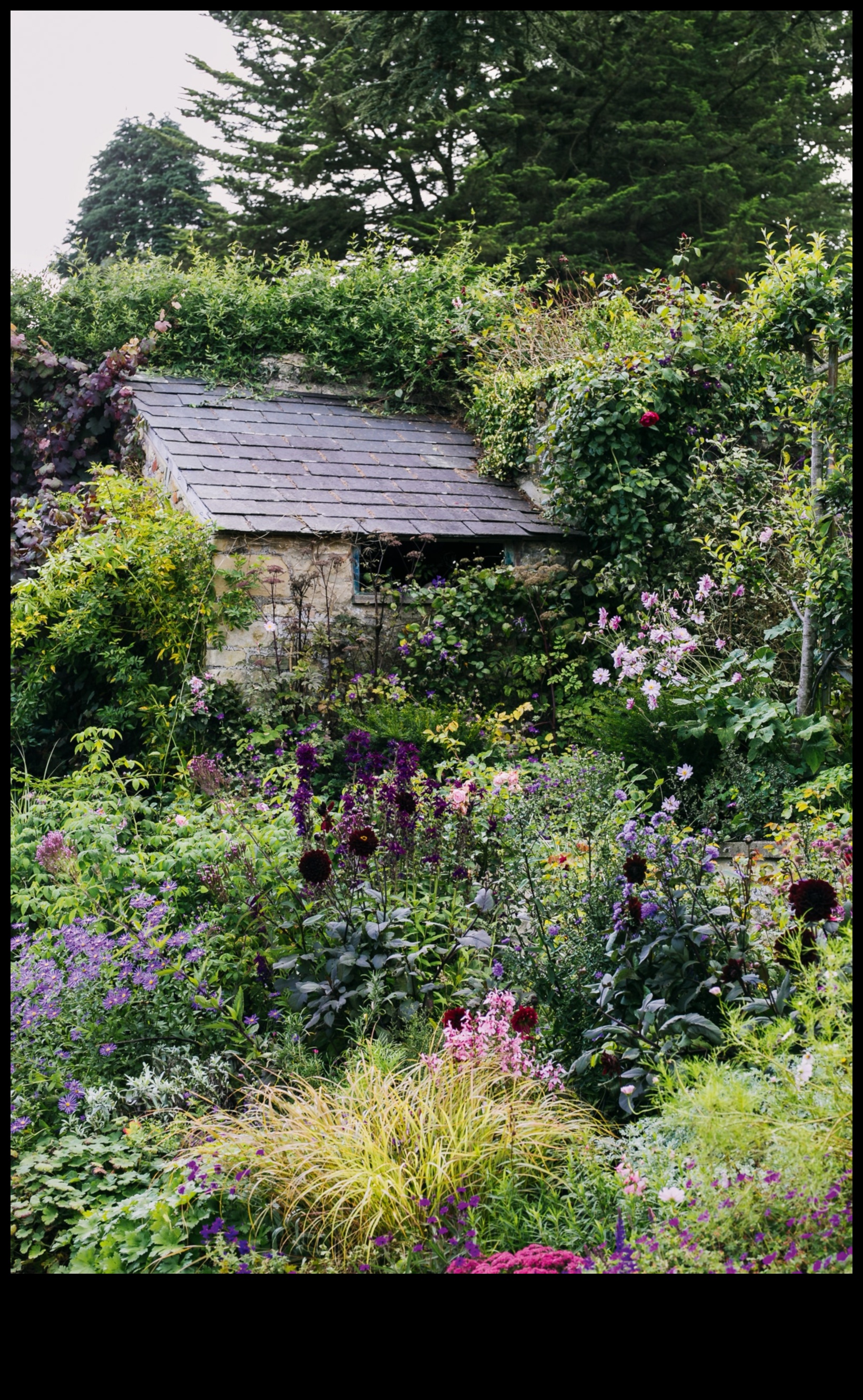 Blossom Retreats: Cottage Gardens ile Mekanları Yükseltmek